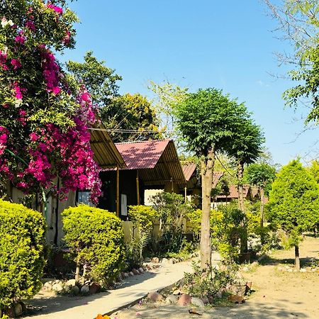 Camp High 5 Jayalgarh Hotell Dāngchura Eksteriør bilde