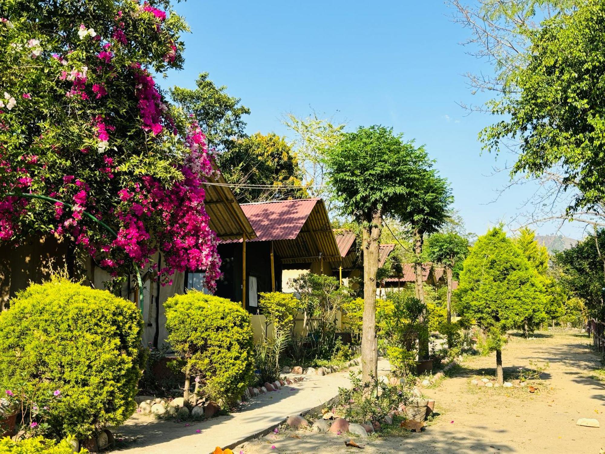 Camp High 5 Jayalgarh Hotell Dāngchura Eksteriør bilde